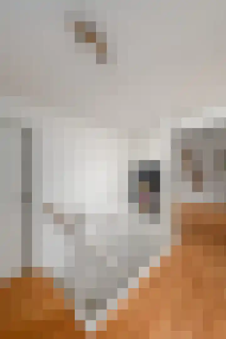 It Beaken 27 Joure thumbnail 14