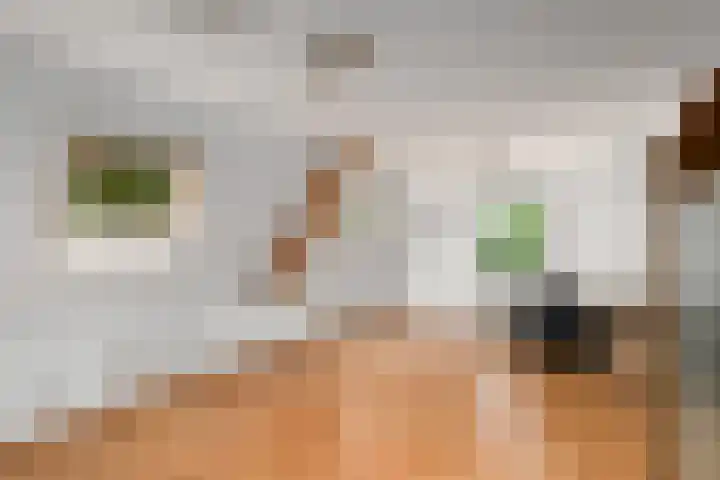 It Beaken 27 Joure thumbnail 15