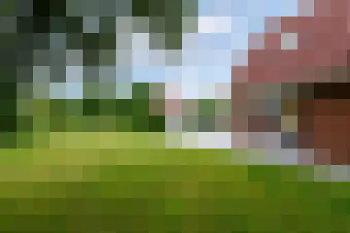 It Beaken 27 Joure foto 3