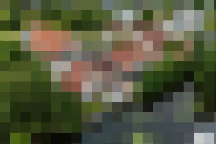 It Beaken 27 Joure thumbnail 39