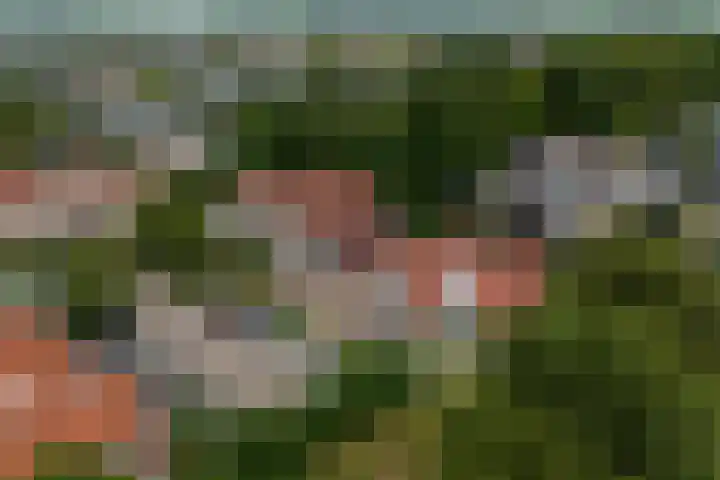 It Beaken 27 Joure thumbnail 40