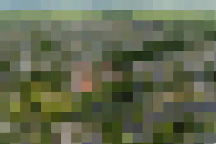 It Beaken 27 Joure thumbnail 41
