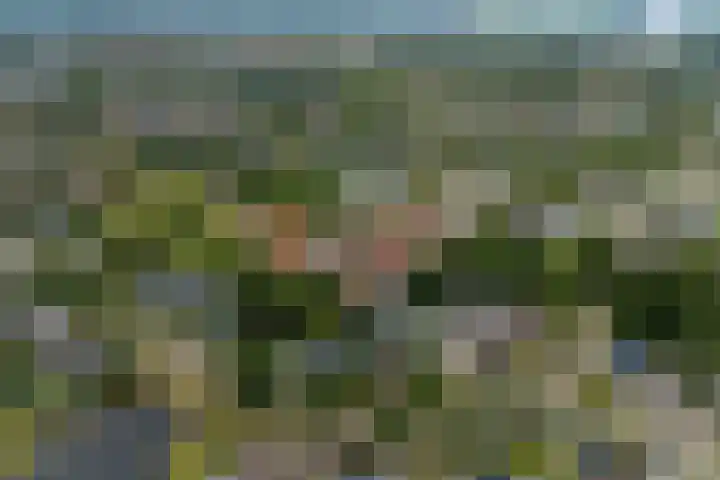 It Beaken 27 Joure thumbnail 42
