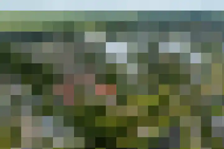 It Beaken 27 Joure thumbnail 43