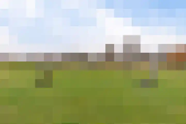 It Blauleech 62 Wirdum thumbnail 35