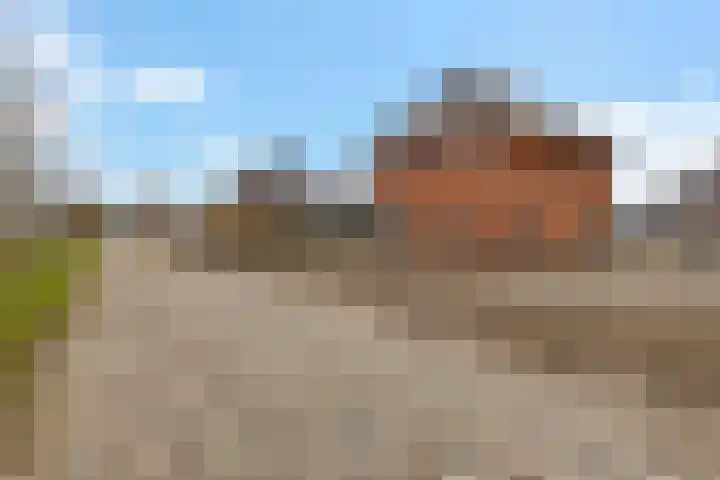 It Blauleech 64 Wirdum thumbnail 22