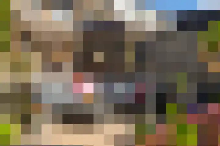 It Blauleech 64 Wirdum thumbnail 29