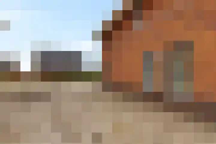 It Blauleech 64 Wirdum thumbnail 40