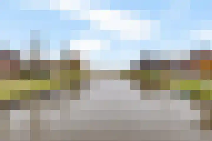 It Blauleech 64 Wirdum thumbnail 42