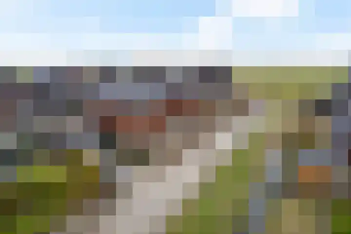 It Blauleech 64 Wirdum thumbnail 49