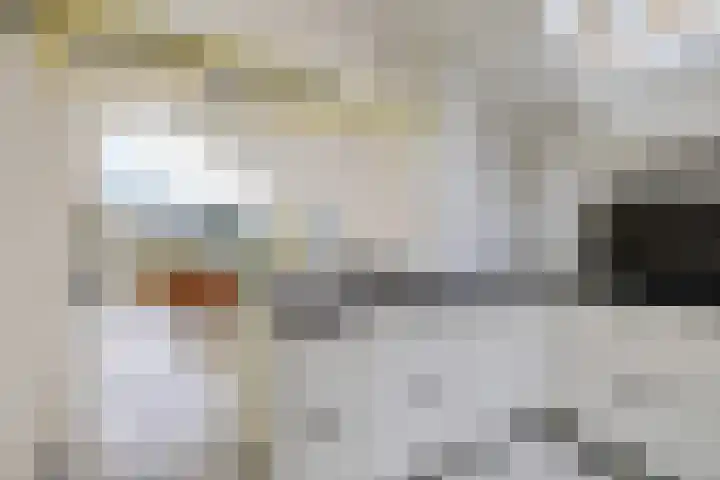 It Eilân 32 Heeg thumbnail 11