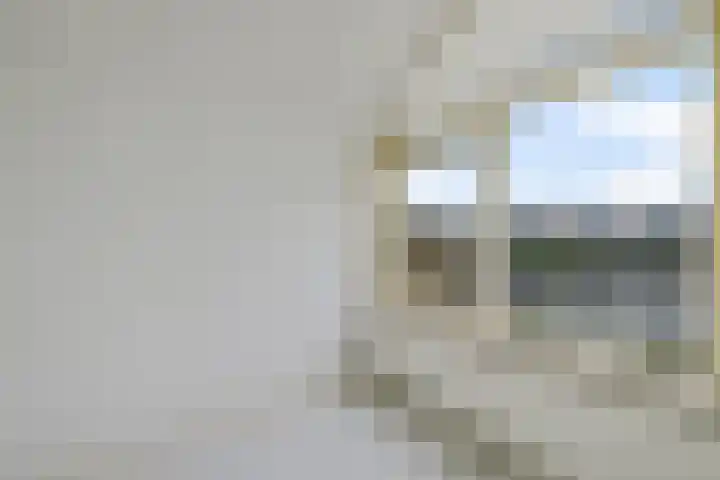 It Eilân 32 Heeg thumbnail 14