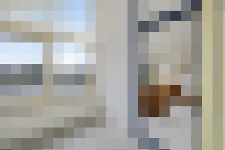 It Eilân 32 Heeg thumbnail 15