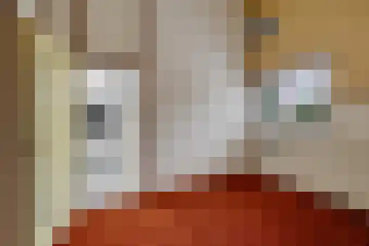 It Eilân 32 Heeg thumbnail 16