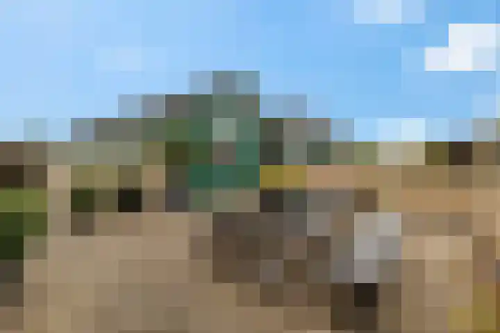 It Eilân 32 Heeg thumbnail 19