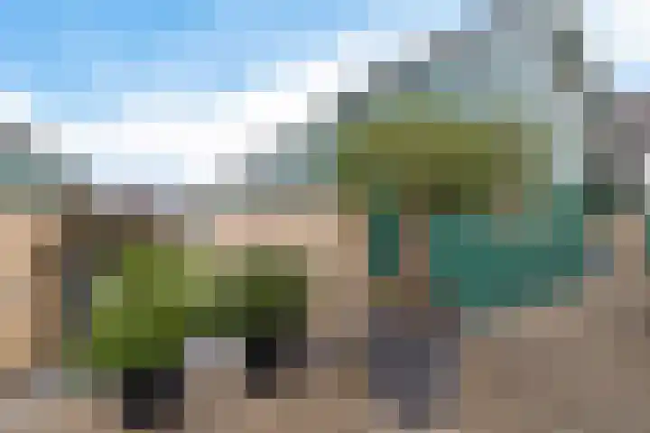 It Eilân 32 Heeg foto 2