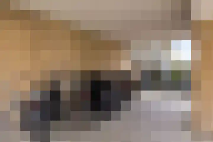 It Eilân 32 Heeg thumbnail 21