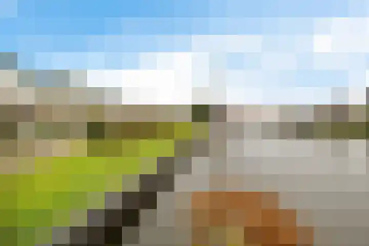 It Eilân 32 Heeg thumbnail 22