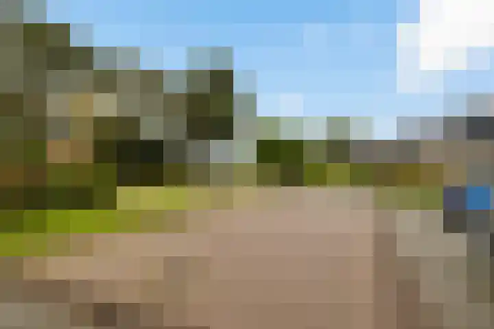 It Eilân 32 Heeg thumbnail 23