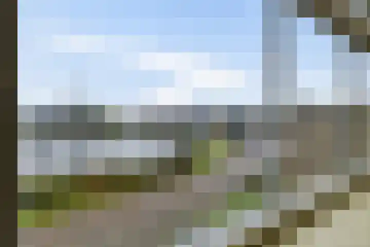 It Eilân 32 Heeg thumbnail 5