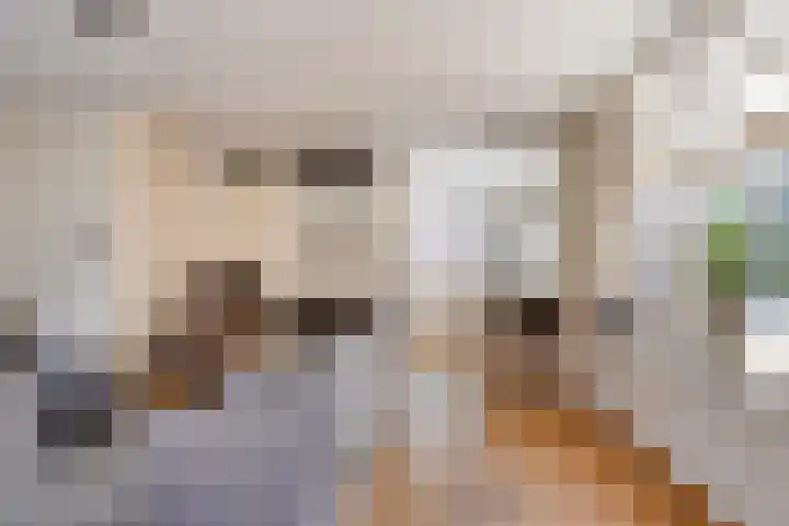 It Eilân 32 Heeg thumbnail 6