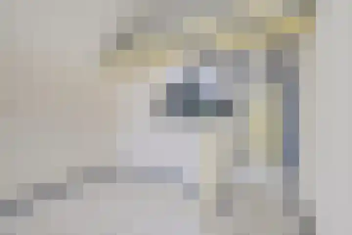 It Eilân 32 Heeg thumbnail 7