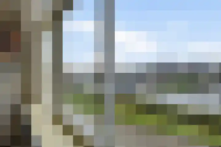 It Eilân 32 Heeg thumbnail 9