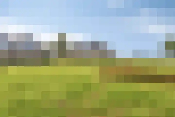 It Eilân 53 Heeg
