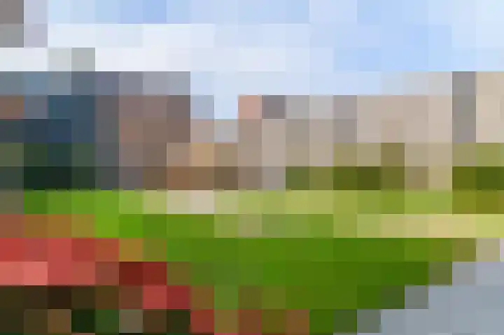 It Fluen 12 Gorredijk thumbnail 13