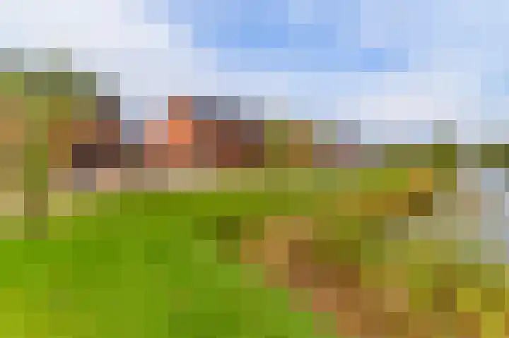 It Fluen 12 Gorredijk thumbnail 40