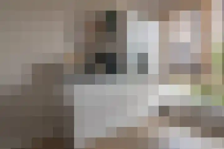 It Fluen 12 Gorredijk thumbnail 7