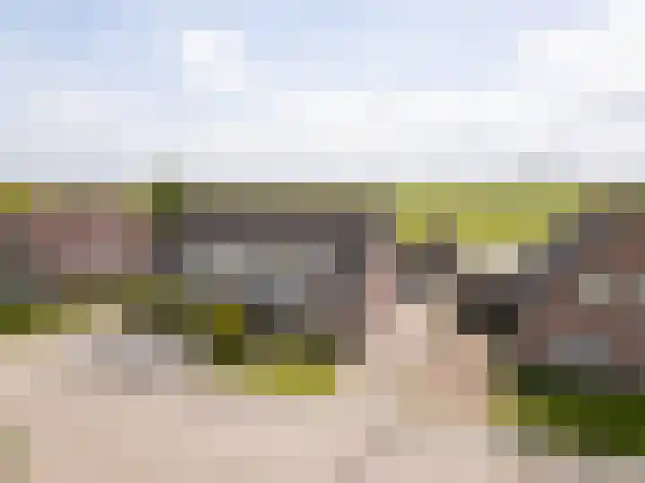 It Foarfjild 15 dans Tjerkgaast