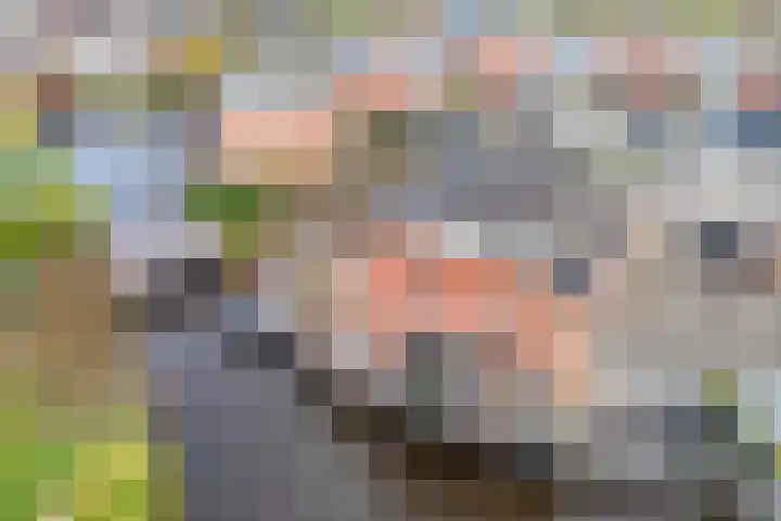 it Harspit 59 Sneek