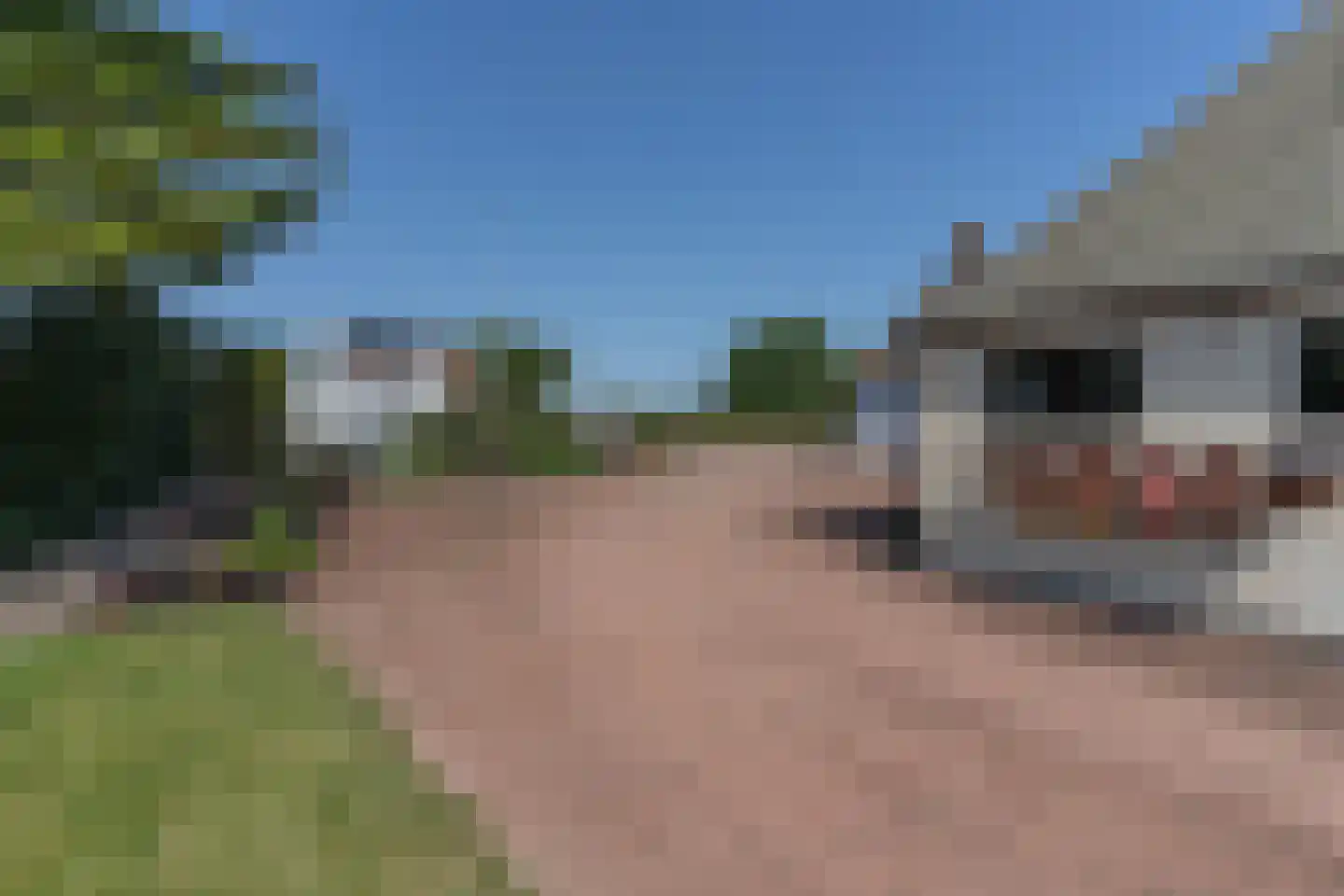It Heech 25 Dronryp thumbnail 66