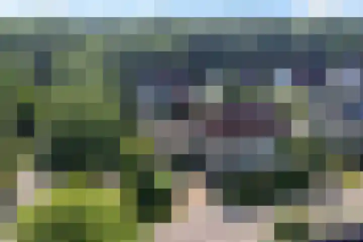 It Heechhout 16 in Gytsjerk