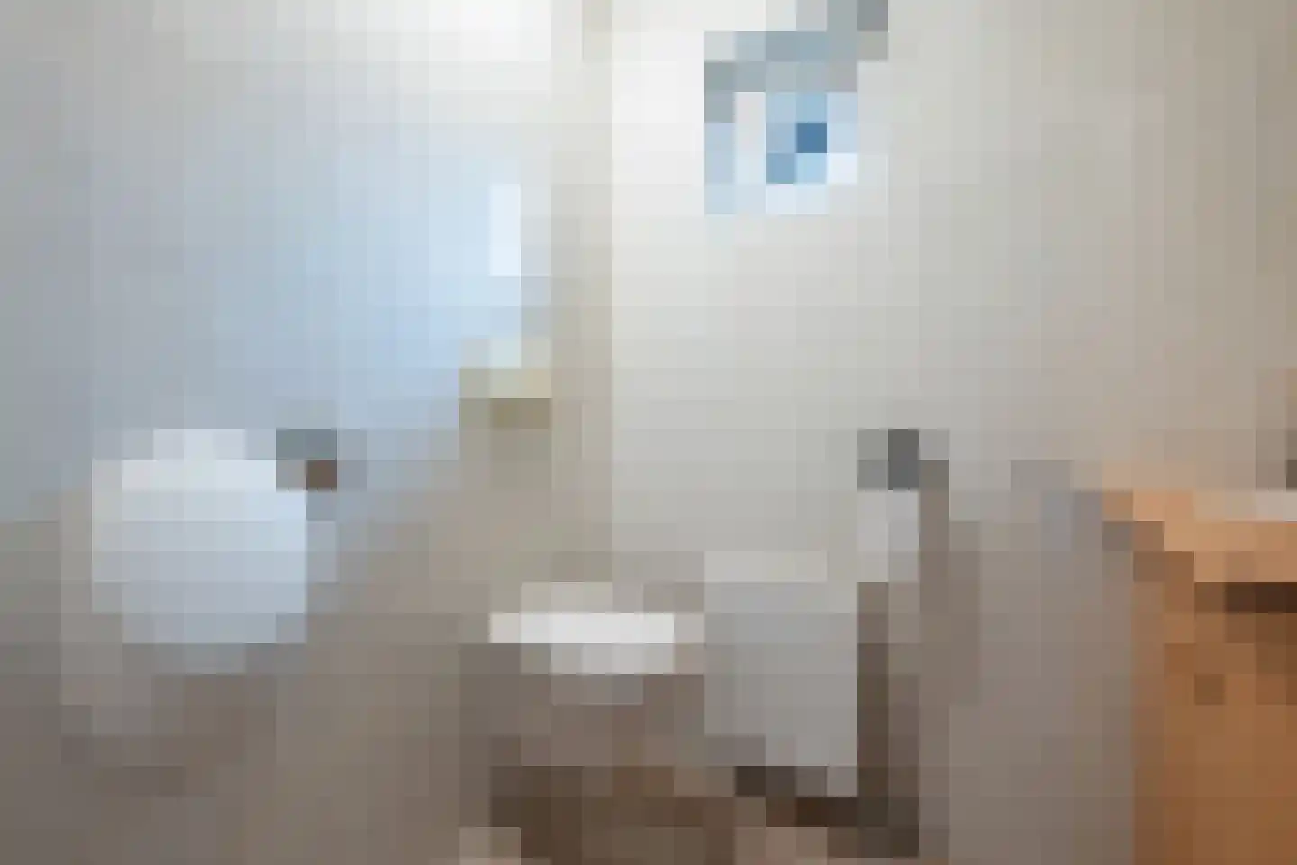 It Heechsân 3 Eastermar thumbnail 20
