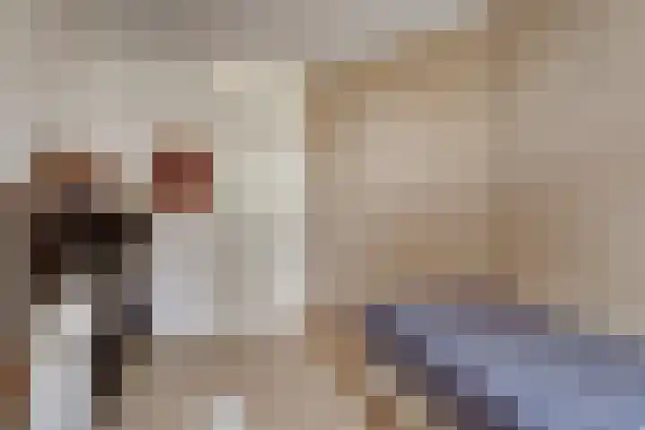 It Hiem 21 Mantgum thumbnail 23