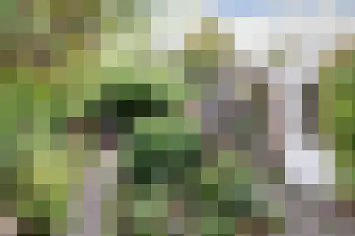 It Hiem 21 Mantgum thumbnail 30