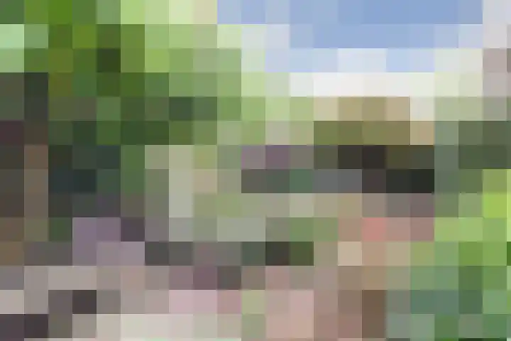It Hiem 21 Mantgum thumbnail 34