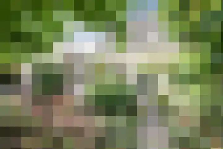 It Hiem 21 Mantgum thumbnail 5
