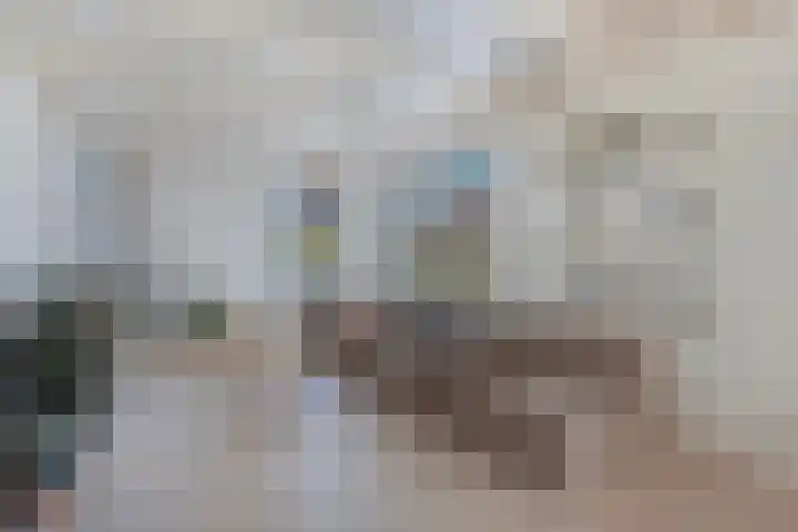 It Hynstewaed 4 Easterlittens thumbnail 10