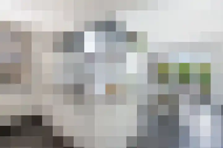 It Hynstewaed 4 Easterlittens thumbnail 17