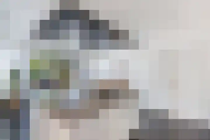 It Hynstewaed 4 Easterlittens thumbnail 20