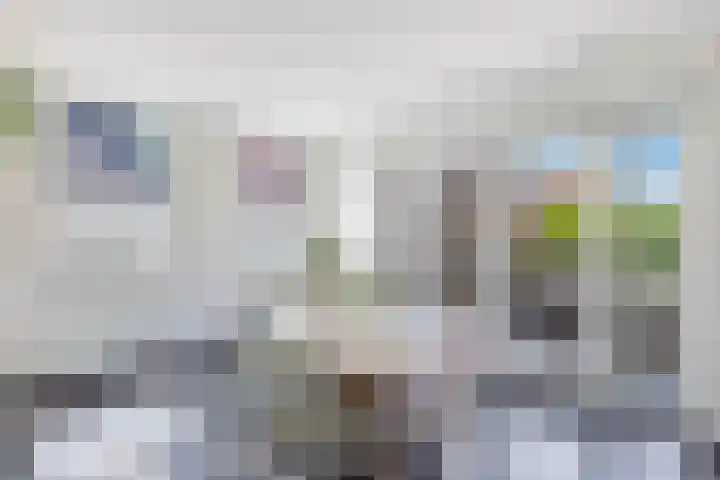 It Hynstewaed 4 Easterlittens thumbnail 23