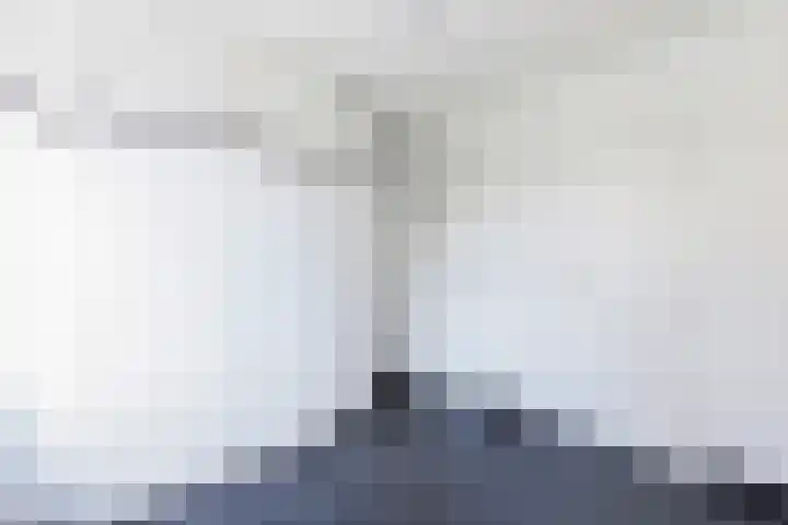 It Hynstewaed 4 Easterlittens thumbnail 27