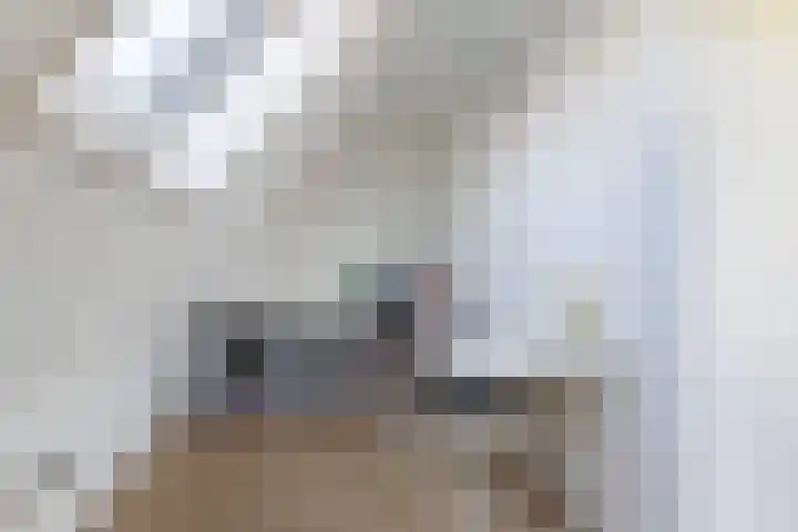 It Hynstewaed 4 Easterlittens thumbnail 34