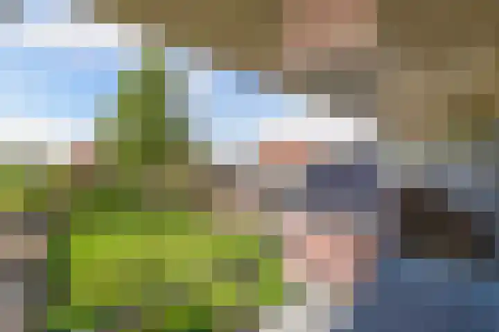 It Hynstewaed 4 Easterlittens thumbnail 36