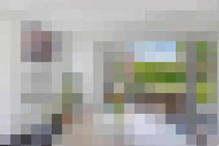 It Hynstewaed 4 Easterlittens thumbnail 4