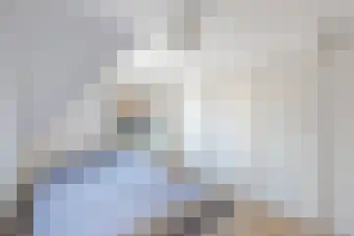 It Hynstewaed 4 Easterlittens thumbnail 43