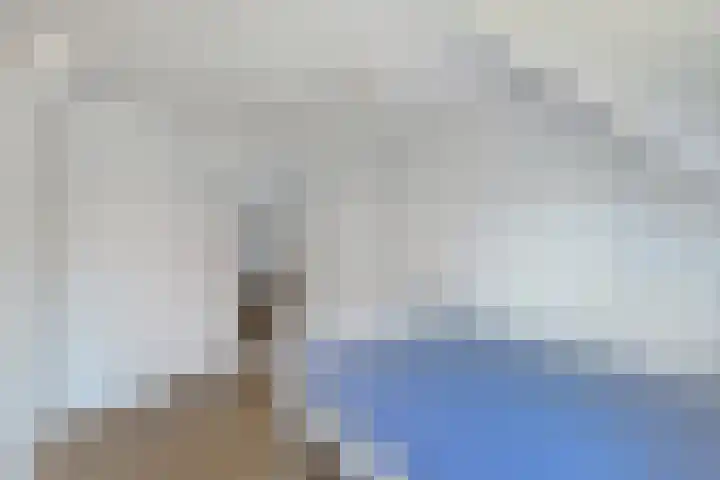 It Hynstewaed 4 Easterlittens thumbnail 45